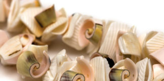 Creare gioielli naturali 739 0 077 Creare gioielli naturali